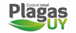 Portal de Clientes